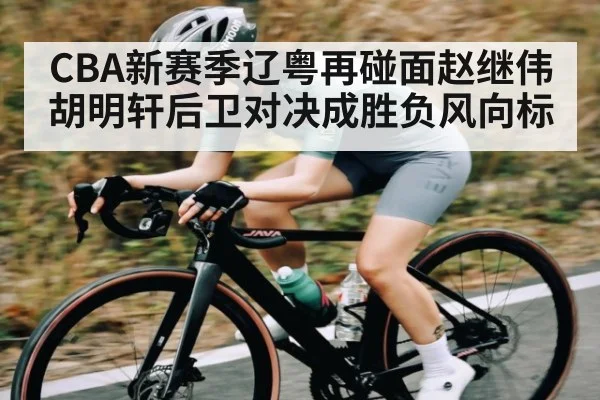 CBA新赛季辽粤再碰面赵继伟胡明轩后卫对决成胜负风向标 - kaiyun